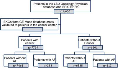 Cancer Radiation Therapy May Be Associated With Atrial Fibrillation